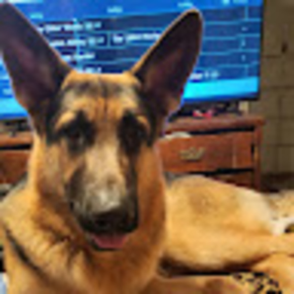 Meet your Posher, Elisa - Picture 1 of 1